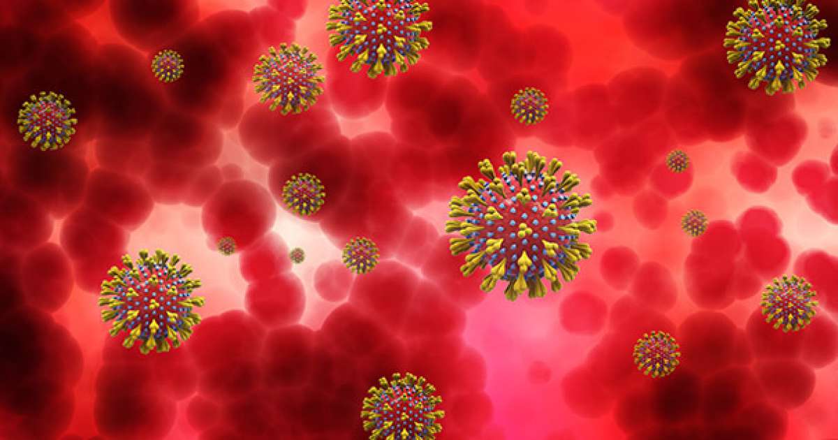 Coronavirus, in Puglia 27 nuovi casi. positivo l'1,28% dei tamponi